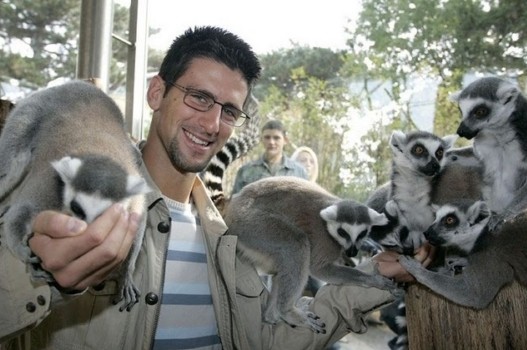 Djokovic 3.jpg Djokovic 3.jpg